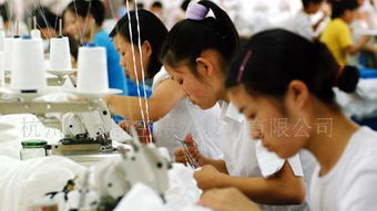 全程影像記錄與制作服務(wù) 為您呈現(xiàn)生產(chǎn)基地的每個精彩瞬間